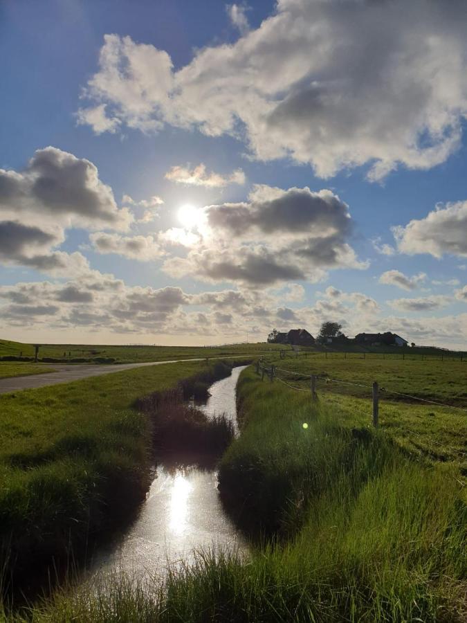 Hare Ferienwohnungen Langeneß Exteriör bild