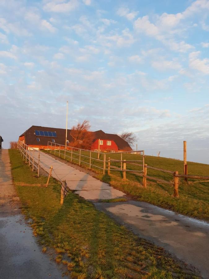 Hare Ferienwohnungen Langeneß Exteriör bild